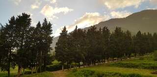 Апартаменты Porto Bello Gold (See view & Swimming pool) Баошичи Апартаменты с 1 спальней-35