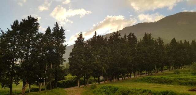 Апартаменты Porto Bello Gold (See view & Swimming pool) Баошичи-57